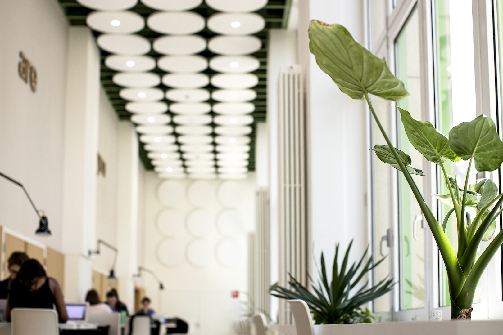 Interieur renovatie van een schoolgebouw, de sequel