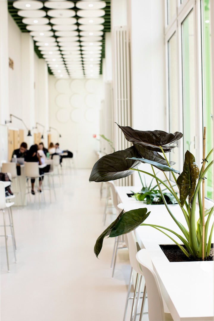 Interieur renovatie van een schoolgebouw, de sequel