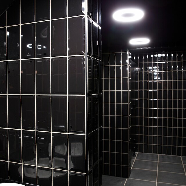 ALL ABOUT THE CEILING: