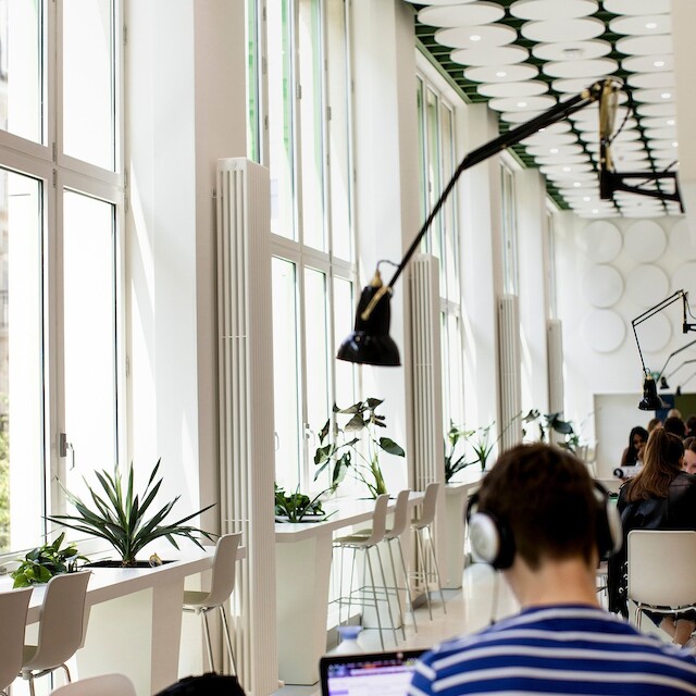 MORE ABOUT THE CEILING: